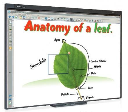 Digital Learning Software